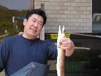 ͂8/18〜db\̂